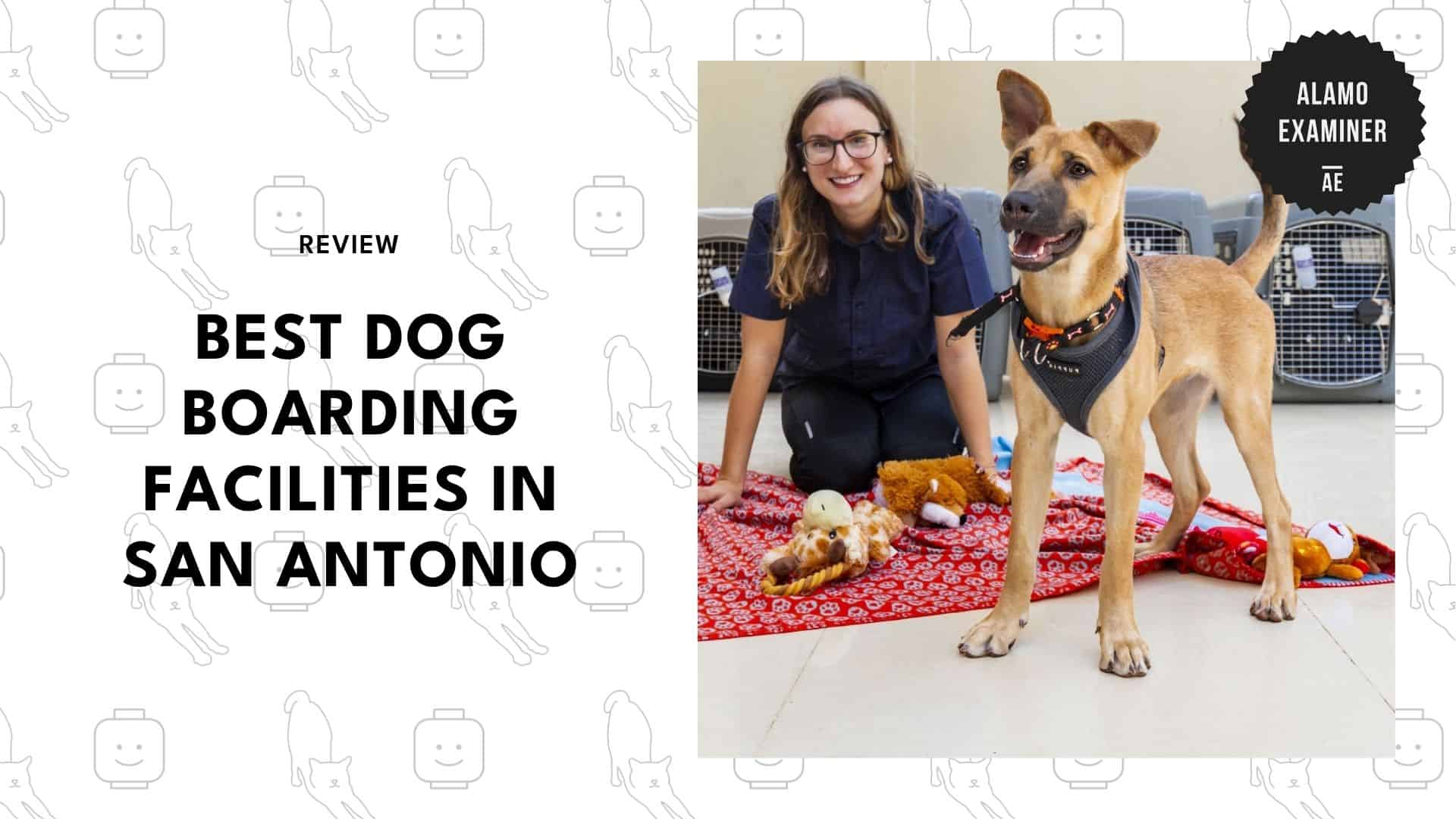dog-boarding-san-antonio
