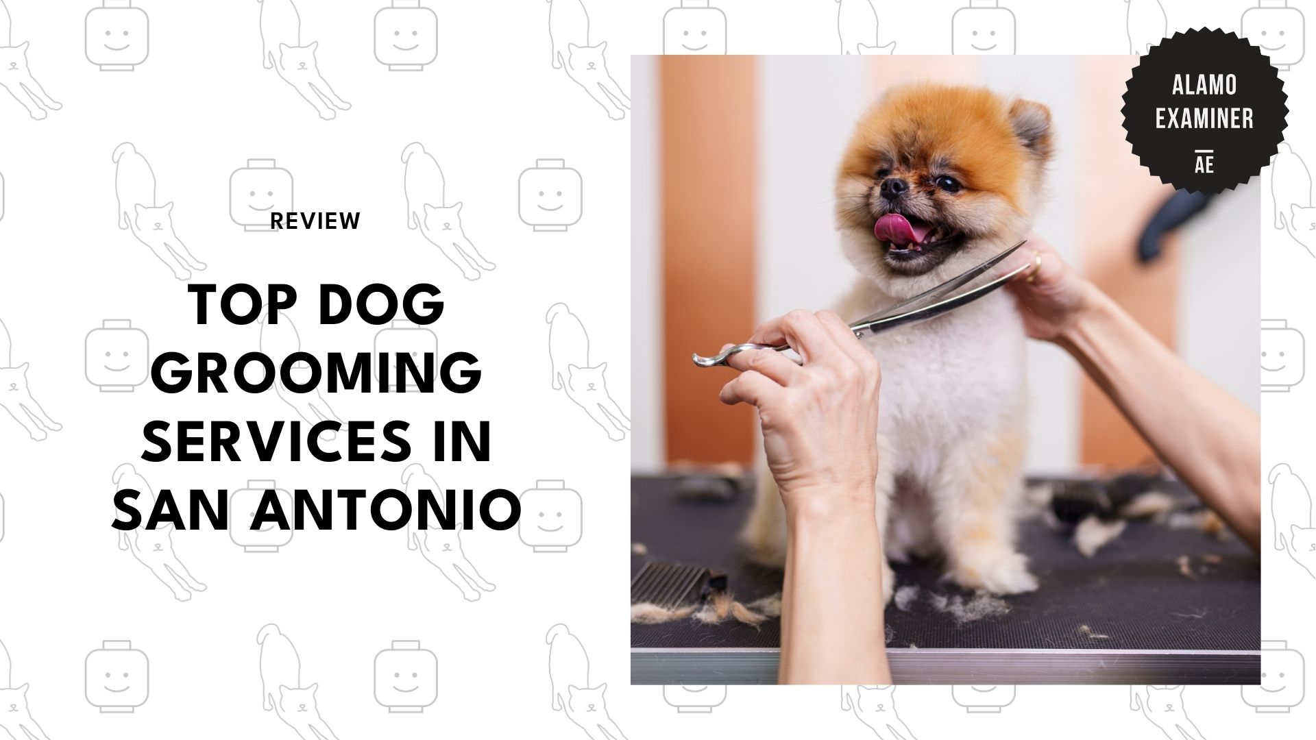 top-dog-grooming-san-antonio-banner
