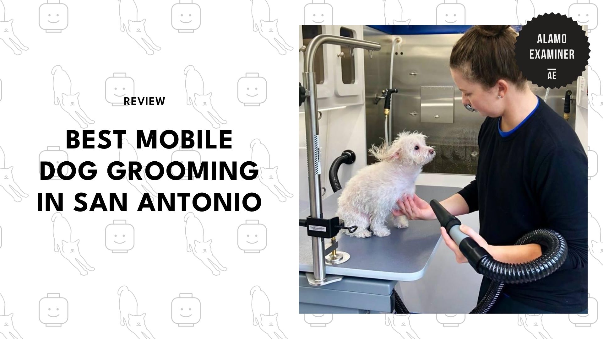 best-mobile-dog-grooming-san-antonio-banner