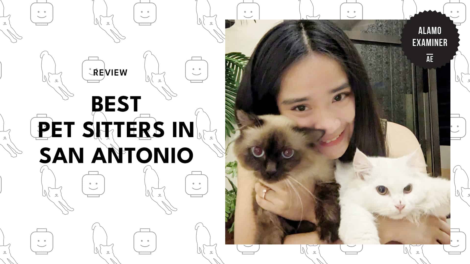 pet-sitter-san-antonio