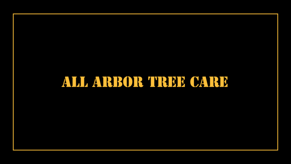 all-arbor-tree-trimming-san-antonio