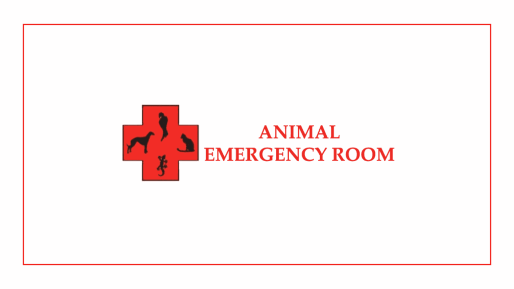 animal-emergency-room