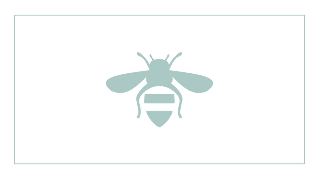 bee-organized-san-antonio