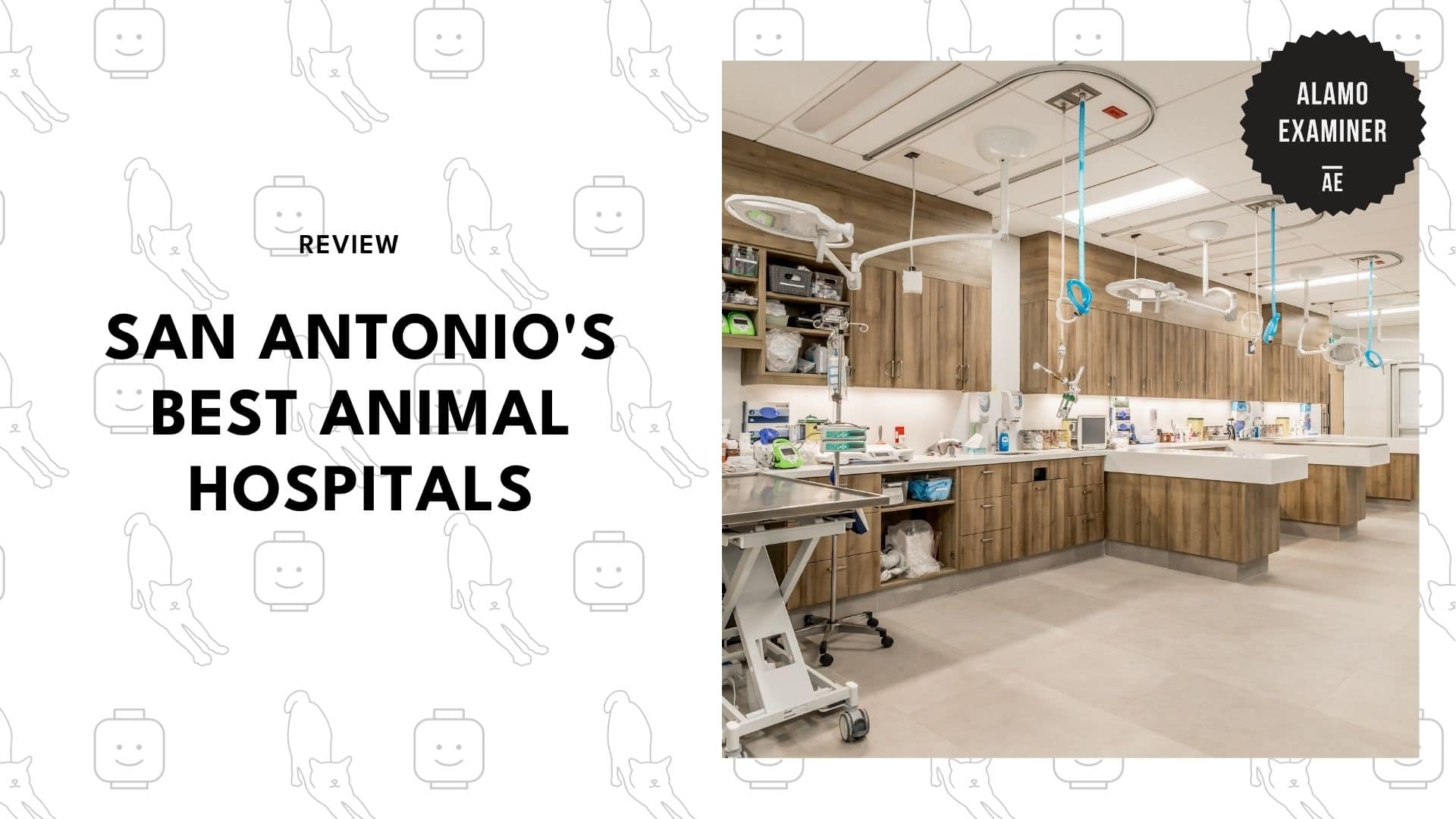 best-animal-hospitals-san-antonio