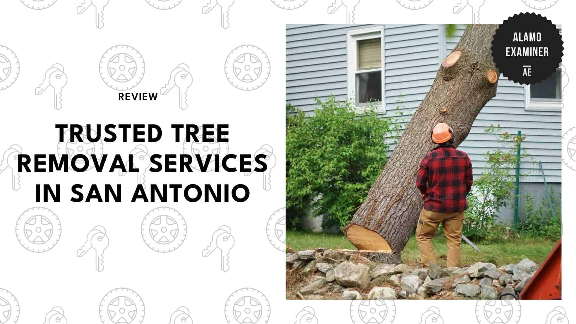 best-tree-removal-services-san-antonio