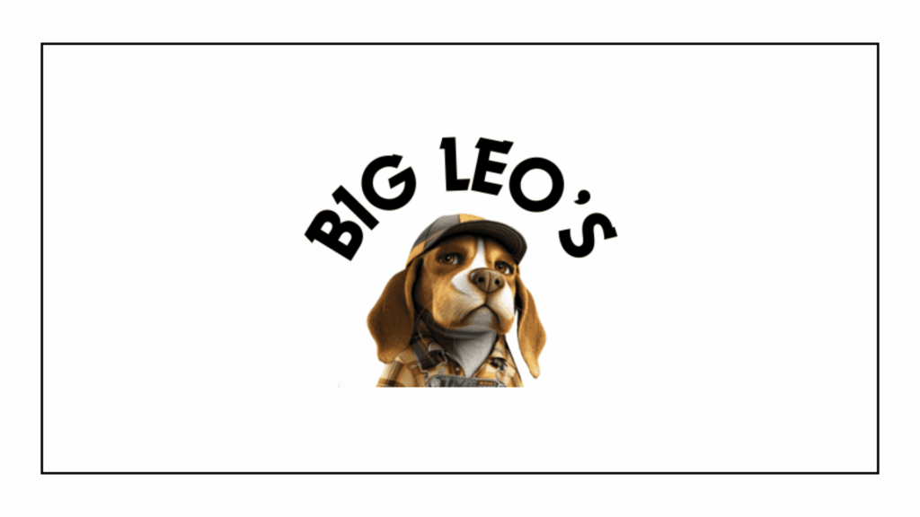big-leo-s-remodeling-san-antonio