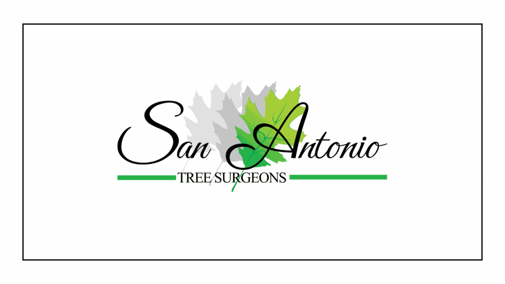 san-antonio-tree-surgeons