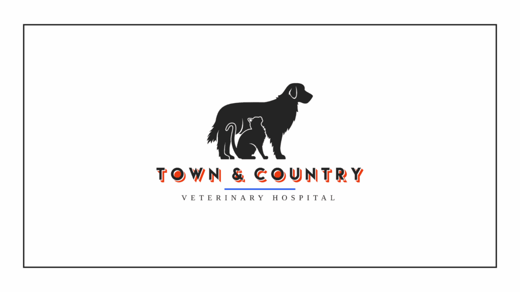 town-country-veterinary-hospital