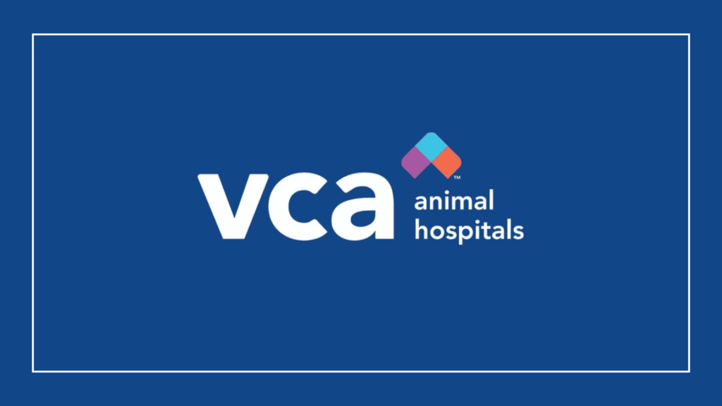 vca-becker-animal-hospital-and-pet-resort