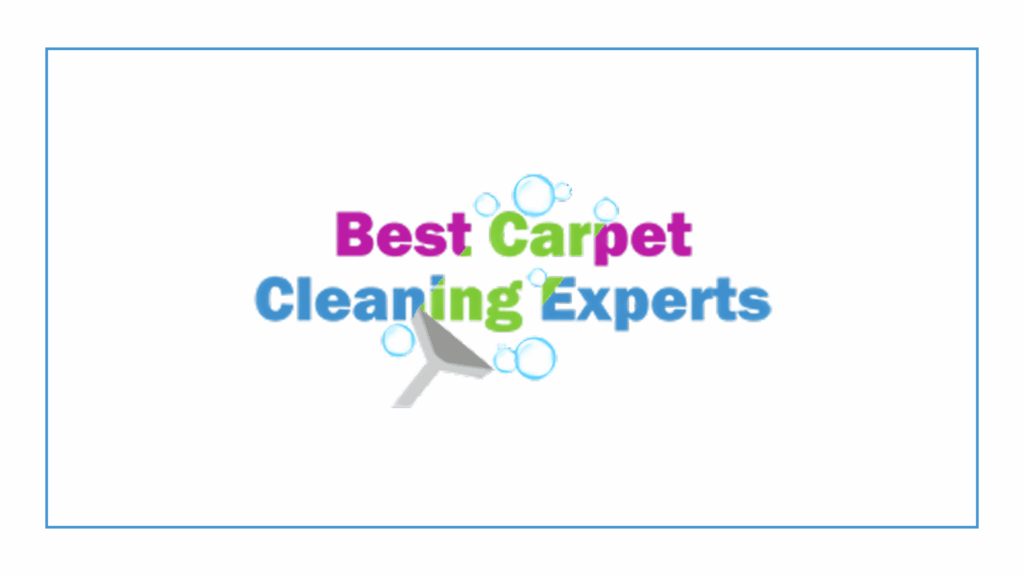 best-carpet-cleaning-experts