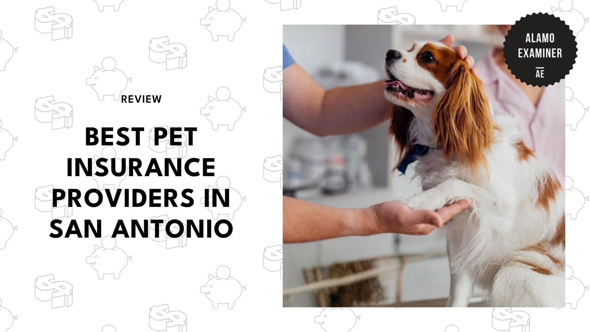 best-pet-insurance-san-antonio