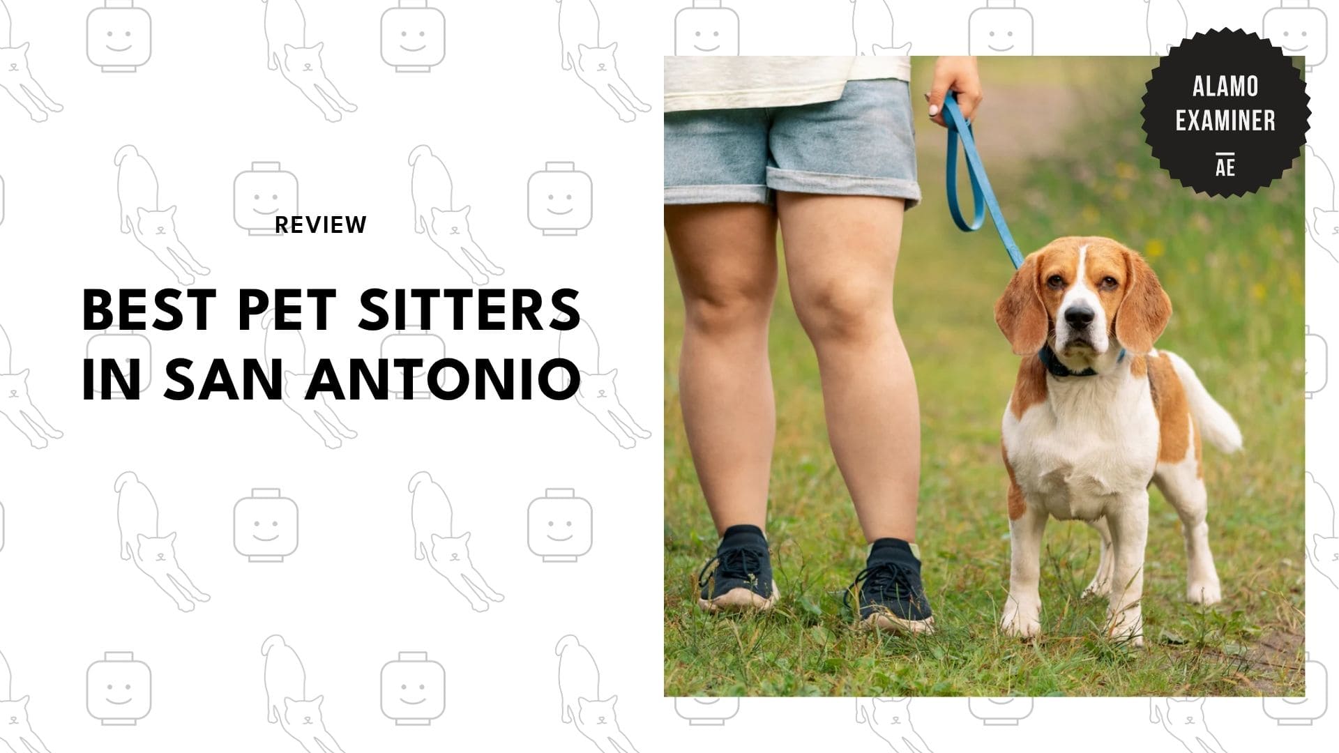 best-pet-sitter-san-antonio