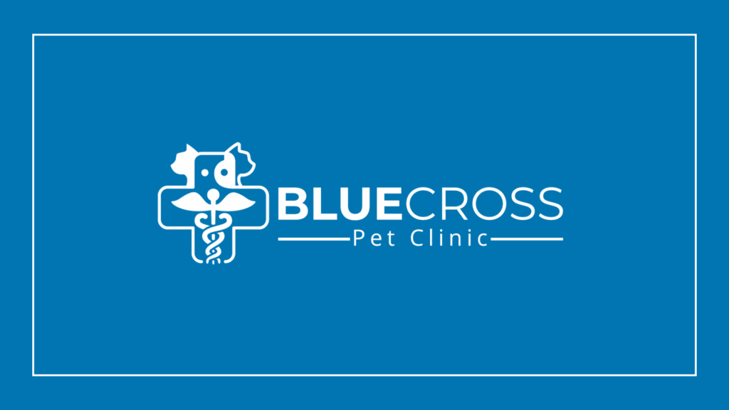 blue-cross-pet-clinic