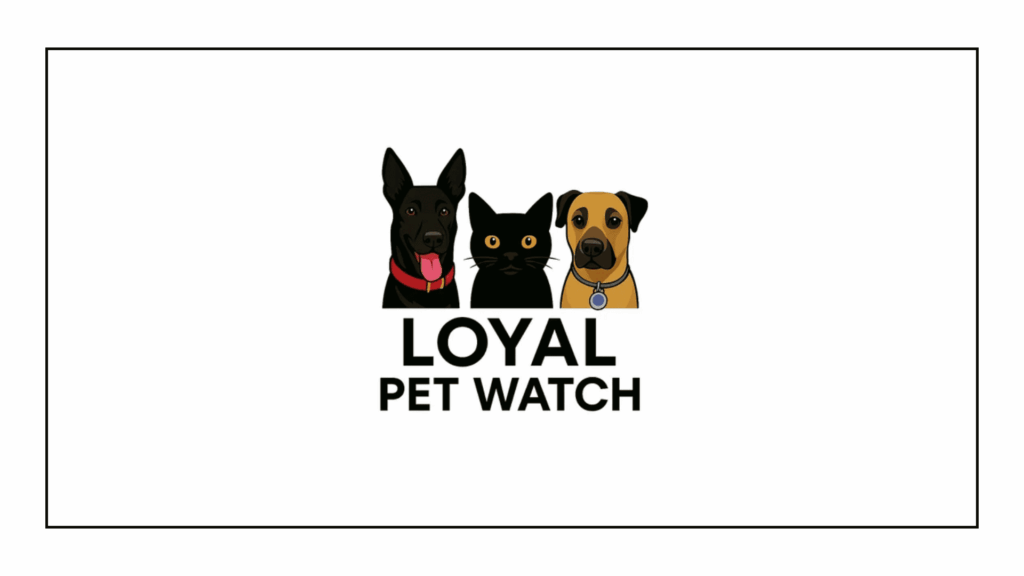 loyal-pet-watch-pet-sitting-in-san-antonio