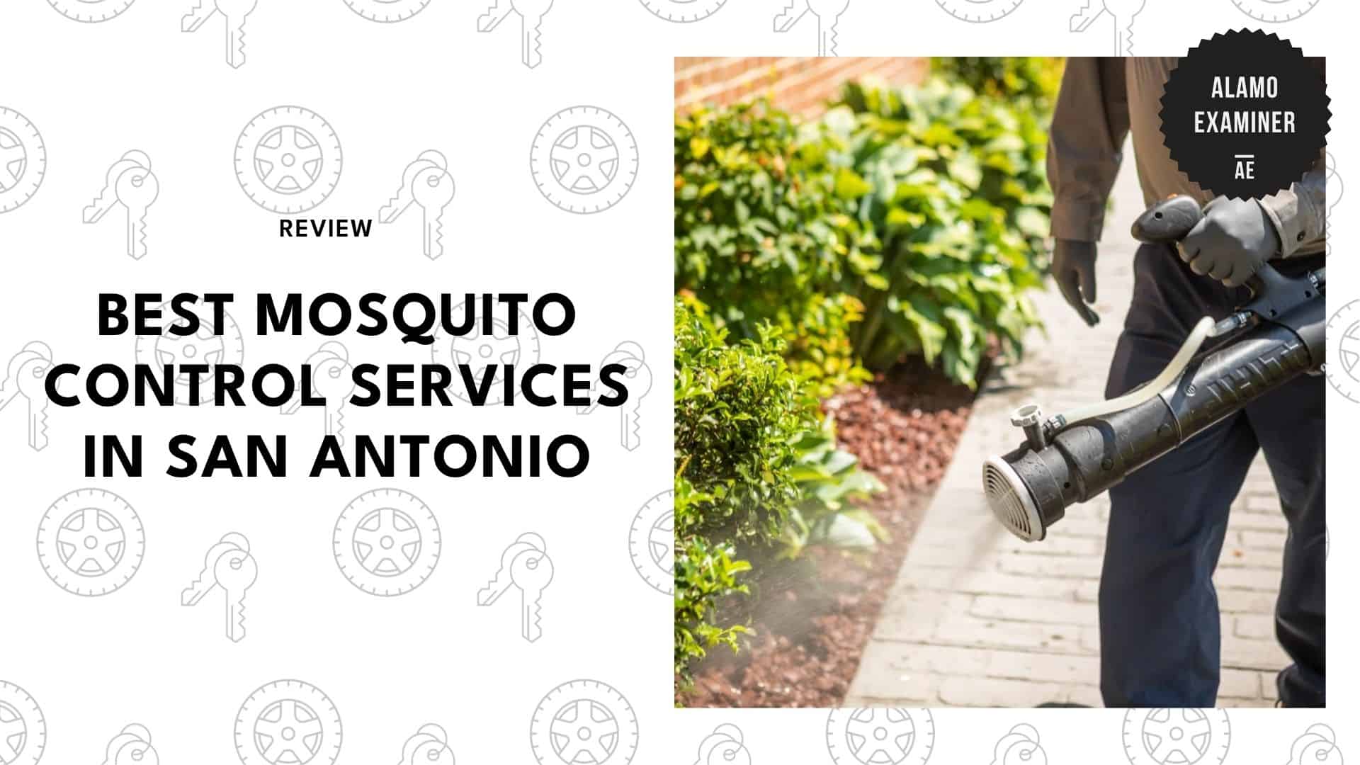 mosquito-control-in-san-antonio