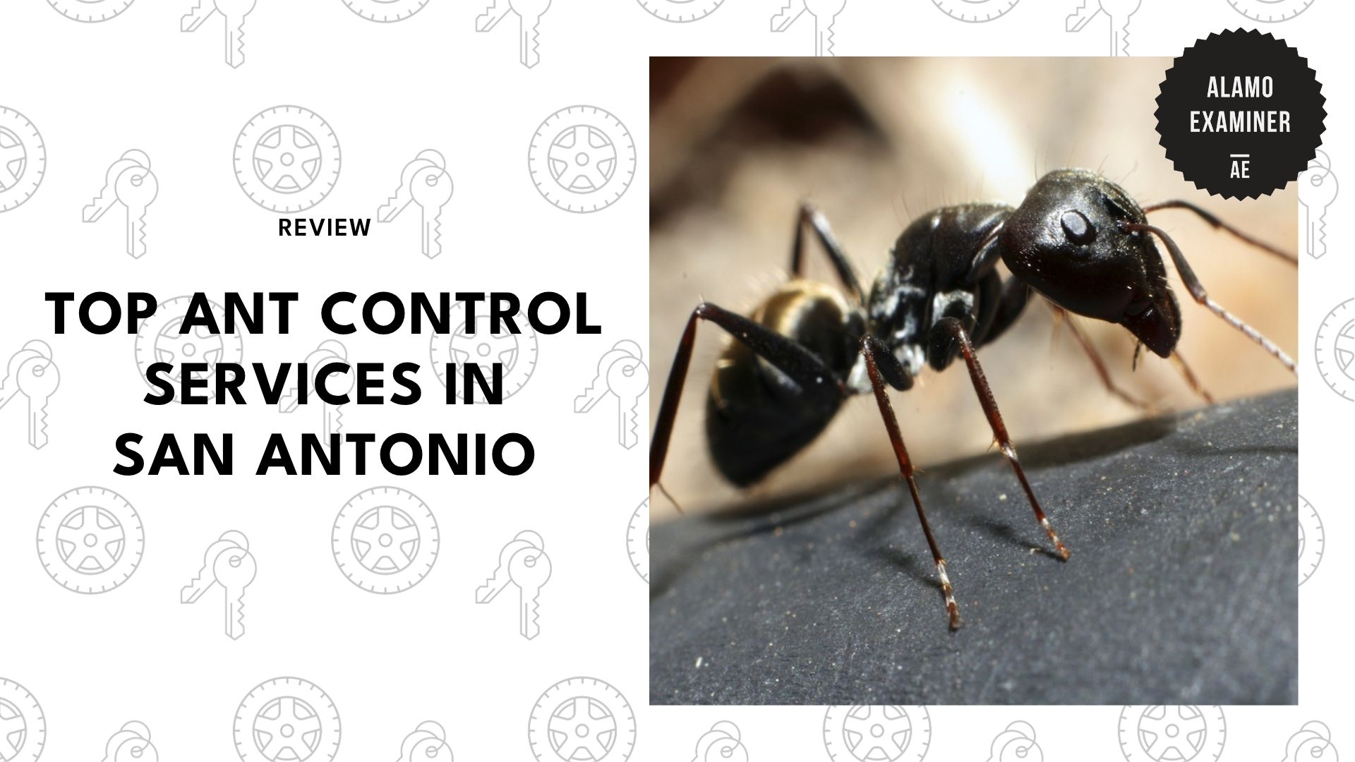 top-ant-control-san-antonio-banner