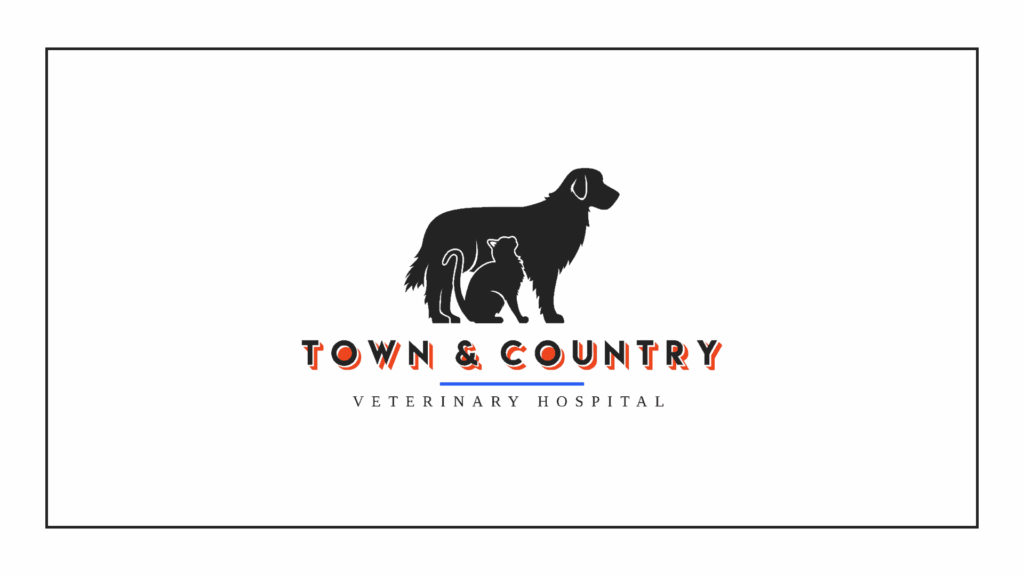 town-country-veterinary-hospital