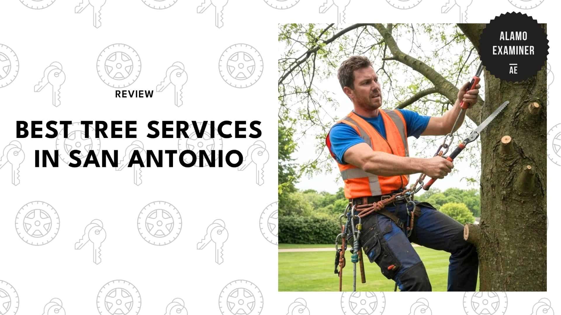 tree-services-in-san-antonio