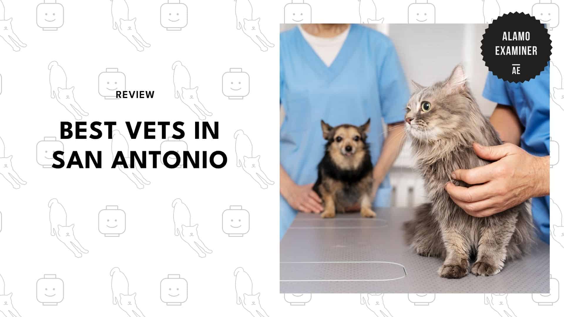 vets-in-san-antonio