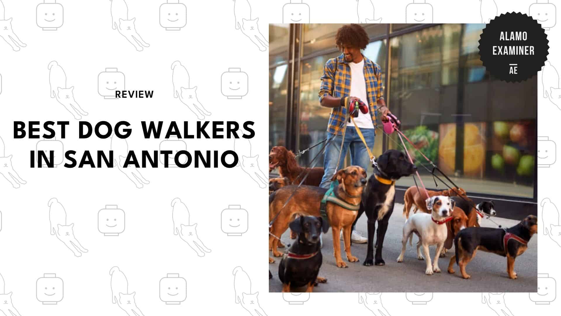 best-dog-walker-san-antonio