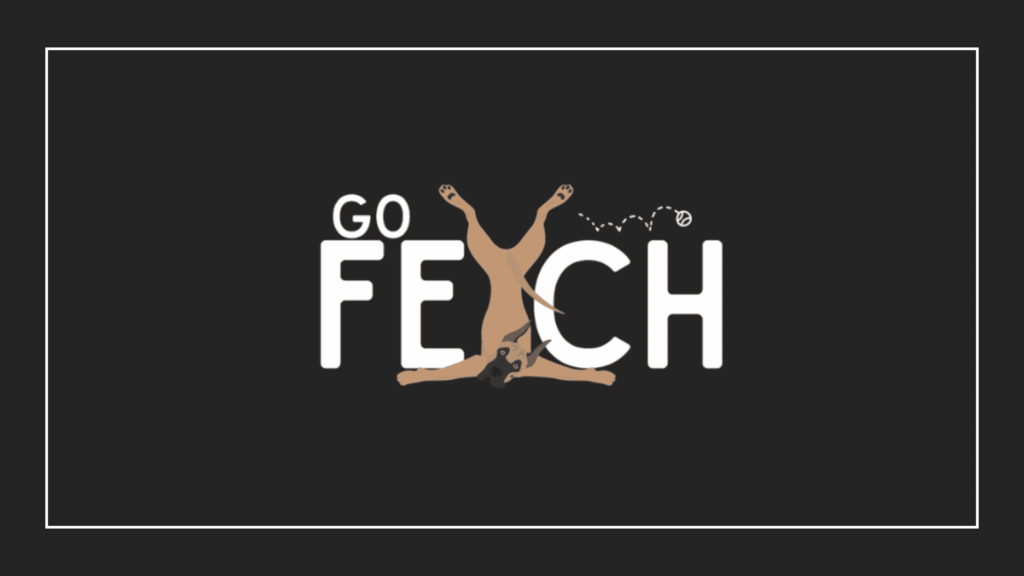 go-fetch-pet-transport
