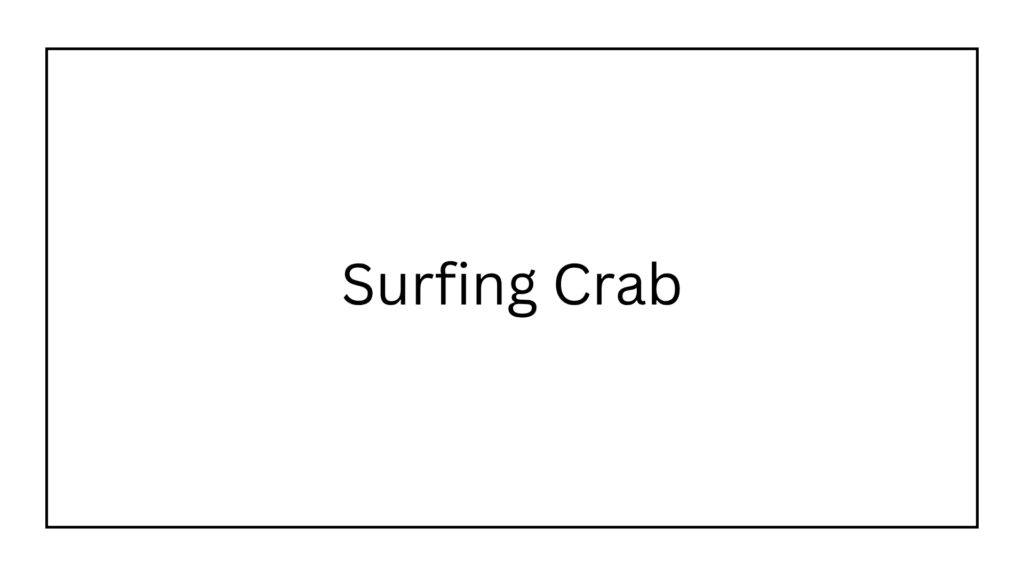 surfing-crab-cajun-seafood-boiled-logo