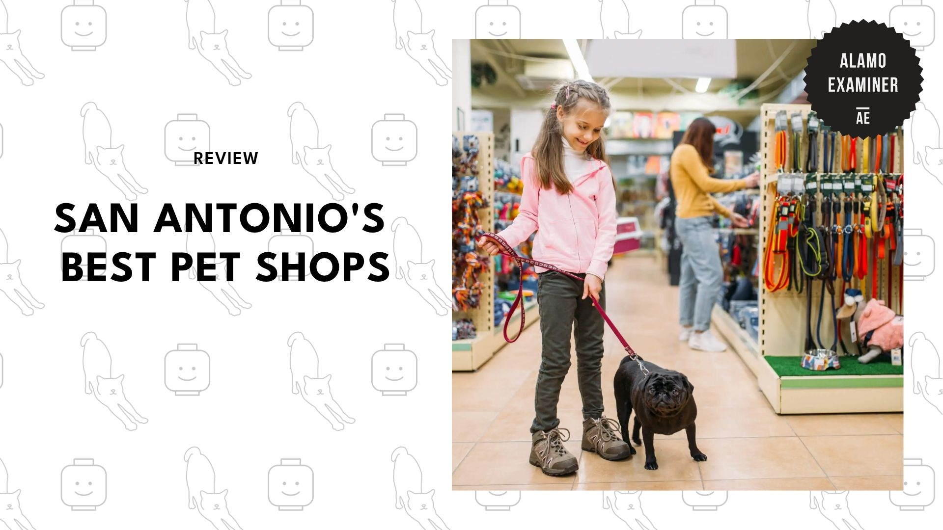best-pet-shops-san-antonio-banner