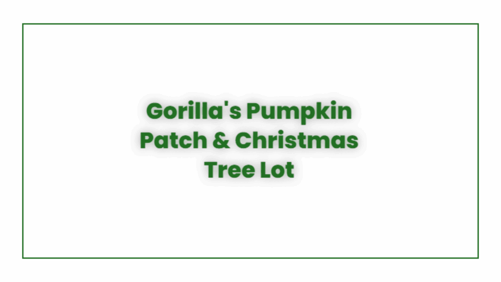 murphy-s-christmas-tree-lot-pumpkin-patch