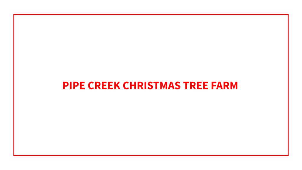 pipe-creek-tree-farm-pumpkin-patch
