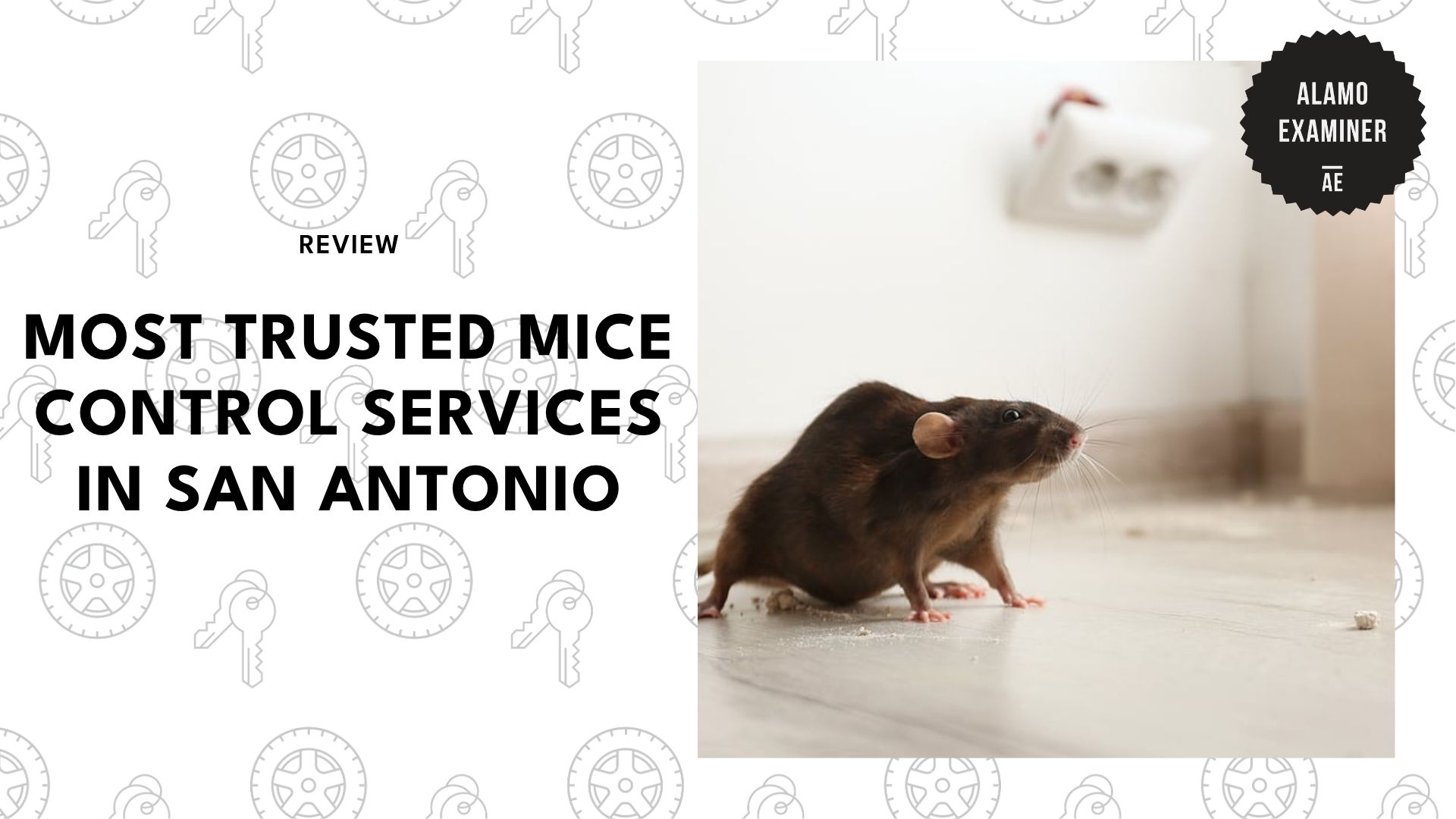 top-mice-control-san-antonio-banner
