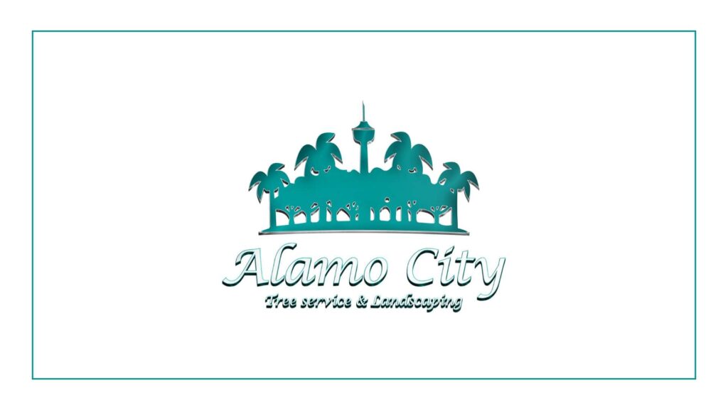 alamo-city-tree-service-landscaping